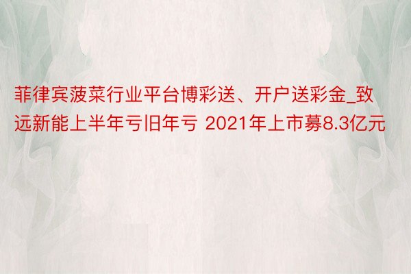 菲律宾菠菜行业平台博彩送、开户送彩金_致远新能上半年亏旧年亏 2021年上市募8.3亿元