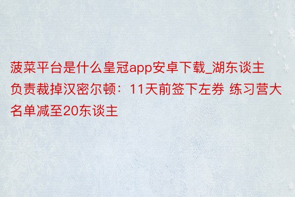 菠菜平台是什么皇冠app安卓下载_湖东谈主负责裁掉汉密尔顿：11天前签下左券 练习营大名单减至20东谈主